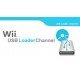 Flash Wii