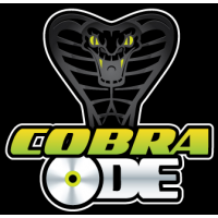 installation cobra ode ps3 paris